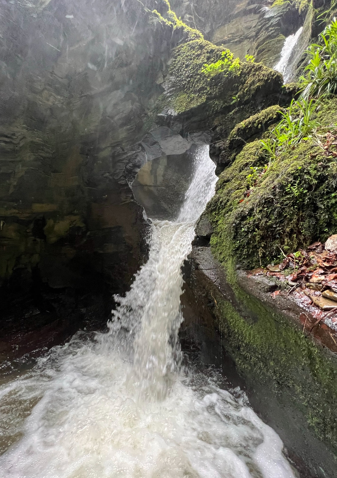 Faery Water from St. Nectan’s Glen 1oz