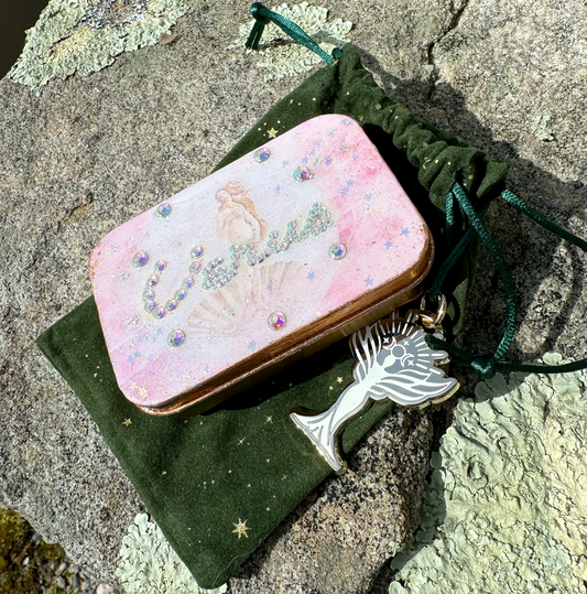 TRAVEL ALTAR - Venus 💕